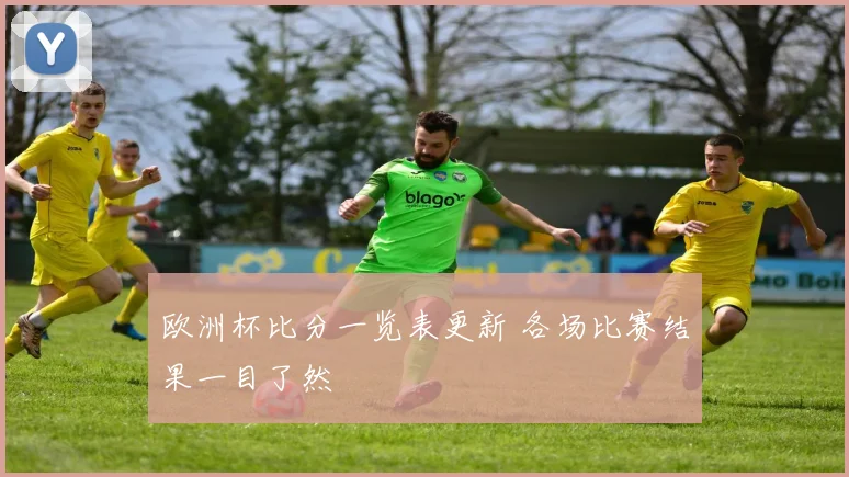 欧洲杯比分一览表更新 各场比赛结果一目了然
