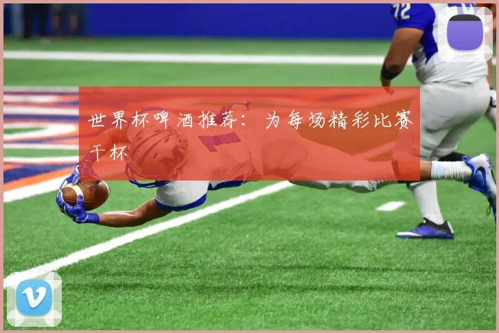 世界杯啤酒推荐：为每场精彩比赛干杯