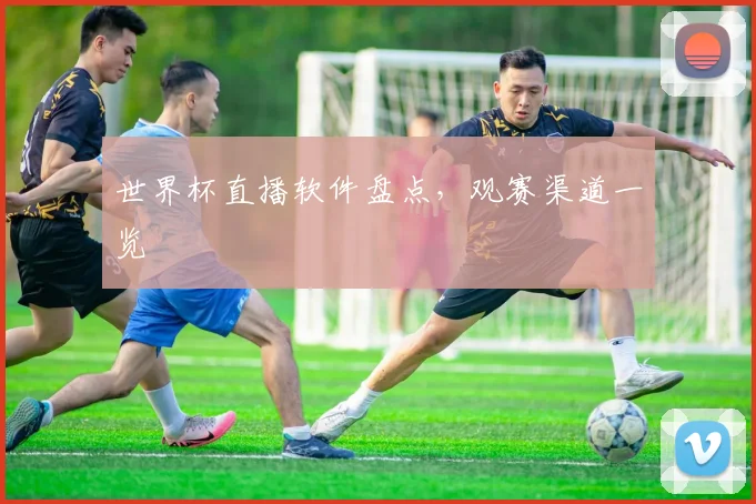 世界杯直播软件盘点,观赛渠道一览