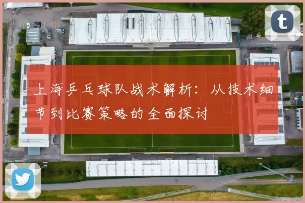 上海乒乓球队战术解析:从技术细节到比赛策略的全面探讨