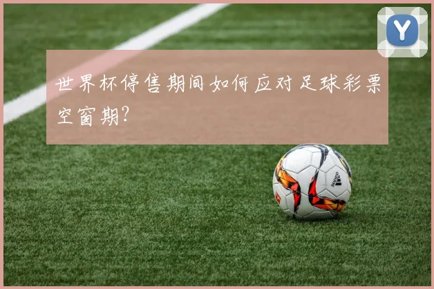 世界杯停售期间如何应对足球彩票空窗期?