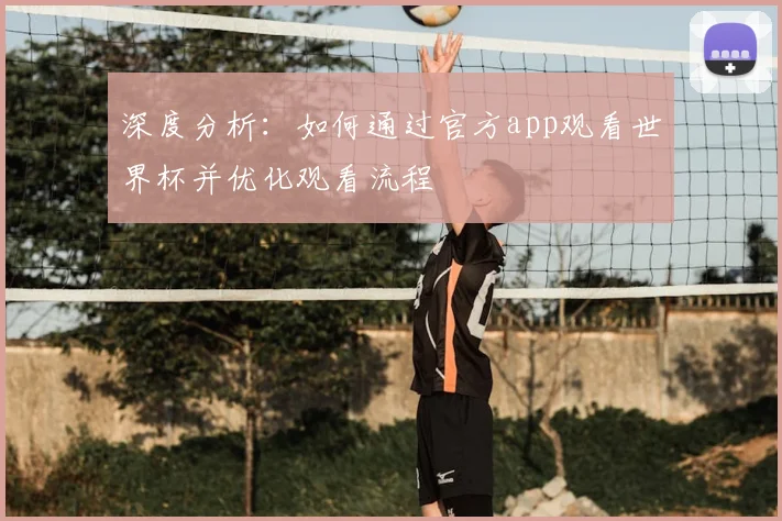 深度分析：如何通过官方app观看世界杯并优化观看流程