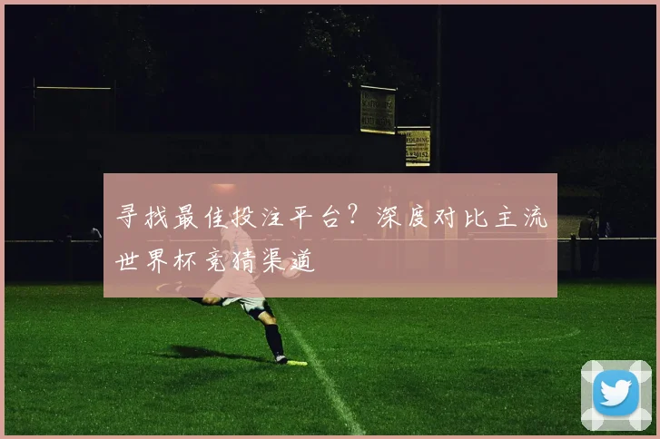 寻找最佳投注平台？深度对比主流世界杯竞猜渠道