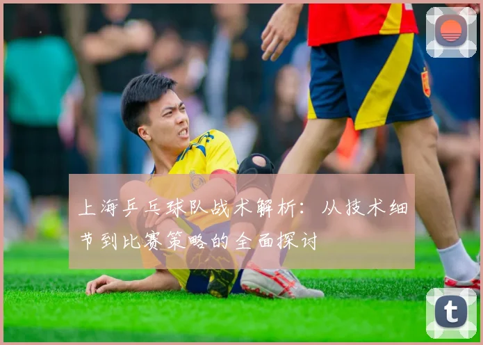 上海乒乓球队战术解析:从技术细节到比赛策略的全面探讨