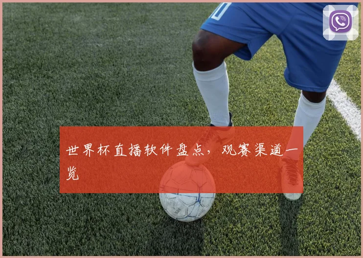 世界杯直播软件盘点,观赛渠道一览