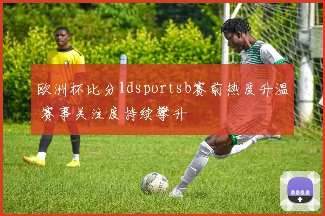 欧洲杯比分ldsportsb赛前热度升温 赛事关注度持续攀升
