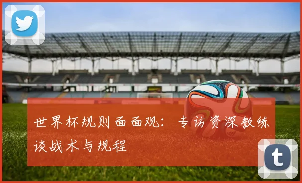 世界杯规则面面观：专访资深教练谈战术与规程