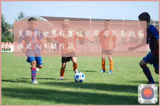 莫斯科世界杯赛程公布 各队备战安排进入关键阶段