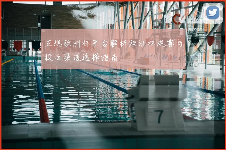 正规欧洲杯平台解析欧洲杯观赛与投注渠道选择指南